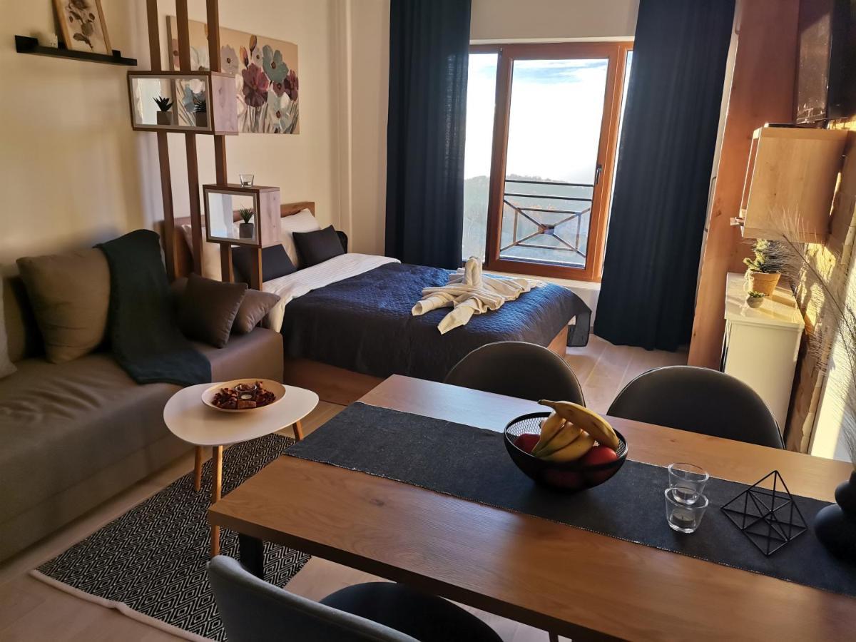Sans Lux Apartman N42 Milmari Копаоник Екстер'єр фото
